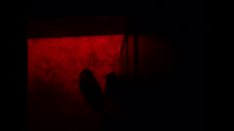 Snapshot of bonny8723 chatting on November 3, 10:21 pm bonny8723 online show from November 3, 10:21 pm