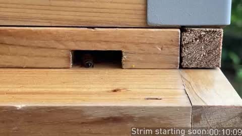 Snapshot of booker_baxton chatting on October 22, 2:56 am Booker Baxton online show from October 22, 2:56 am