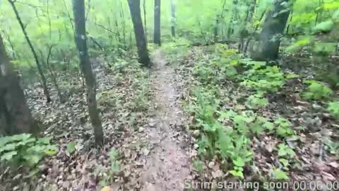 Booker Baxton online show from November 5, 4:01 am