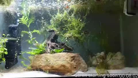 Snapshot of booker_baxton chatting on November 12, 4:02 am Booker Baxton online show from November 12, 4:02 am