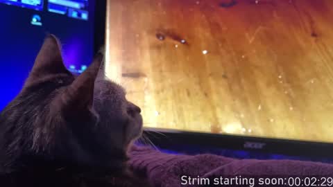 Booker Baxton online show from November 16, 4:07 am