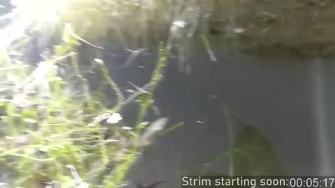 Snapshot of booker_baxton chatting on November 27, 4:03 am Booker Baxton online show from November 27, 4:03 am