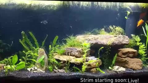 Snapshot of booker_baxton chatting on December 4, 4:11 am Booker Baxton online show from December 4, 4:11 am