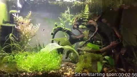 Booker Baxton online show from February 13, 4:08 am