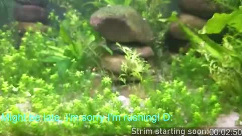 Booker Baxton online show from February 19, 4:08 am