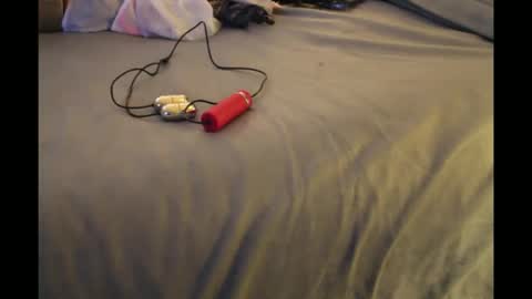 Snapshot of bookwormzzy2a chatting on December 21, 11:50 am Bookwormzzy2a online show from December 21, 11:50 am