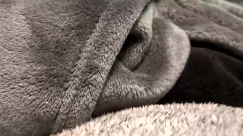 Snapshot of borderslad1101 chatting on November 23, 3:56 pm Borderslad1101 online show from November 23, 3:56 pm