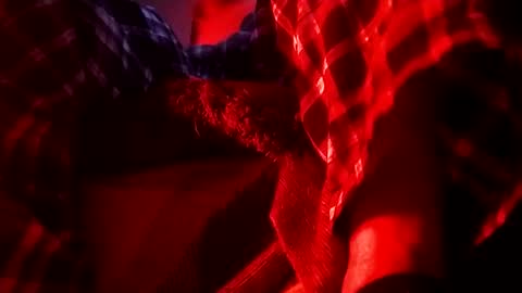 boredaf6678 online show from February 1, 6:32 am