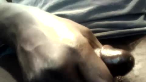 botofogo online show from October 12, 1:59 am