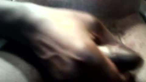 botofogo online show from October 31, 3:46 pm