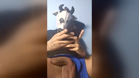 boycock25cm online show from July 2, 6:08 am