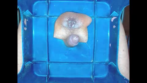boyfantasies_11 online show from January 11, 12:04 am