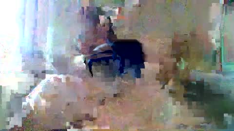 bpbww online show from September 19, 4:40 pm