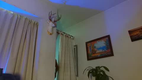 Bradley Martinez online show from July 10, 10:23 pm