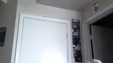 i am a naughty jedi knight online show from June 15, 2:08 pm