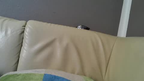 bramer8787 online show from February 9, 5:29 am