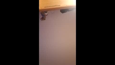 Snapshot of brandon281997 chatting on April 1, 12:06 pm brandon281997 online show from April 1, 12:06 pm