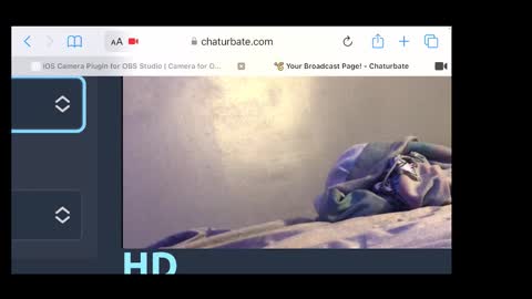 Snapshot of braylensaurex chatting on November 20, 2:34 am MANTE online show from November 20, 2:34 am