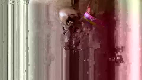 brewfan65 online show from October 24, 8:49 pm