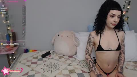 Brianna online show from December 12, 12:48 am