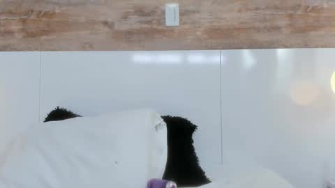 brianna_beltran online show from April 12, 11:04 am