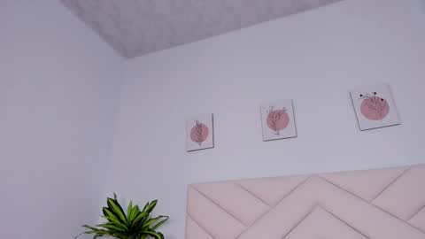 Snapshot of brianna_bigboobs chatting on December 23, 2:07 pm online show from December 23, 2:07 pm