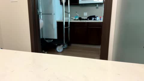 Snapshot of brickmeup chatting on April 8, 10:32 pm brickmeup online show from April 8, 10:32 pm