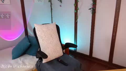 Snapshot of brie_cheese1 chatting on July 28, 8:52 pm Brie Ill be away November 2829 and 30. See u on Sunday for more fun online show from July 28, 8:52 pm