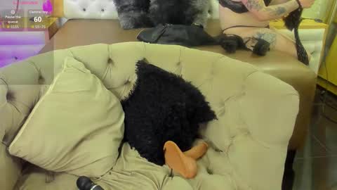 brithani online show from November 19, 8:31 pm