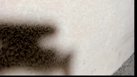 brockhurn_ online show from September 15, 2:00 am