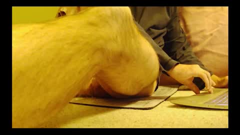 Snapshot of brode3 chatting on January 6, 4:05 am brode3 online show from January 6, 4:05 am