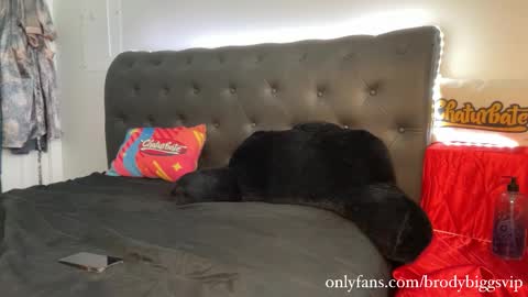 Brody Biggs online show from January 9, 8:21 pm