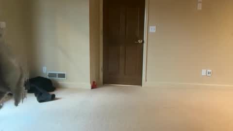 brookepatterson online show from December 4, 6:16 pm