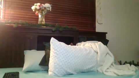 Snapshot of brownsugar0910 chatting on December 26, 12:46 am EtherealLilac online show from December 26, 12:46 am