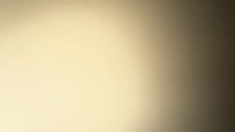 Snapshot of brucedog1983 chatting on December 26, 2:33 am BRUCE online show from December 26, 2:33 am