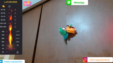 Enjoy the best muscle straws   online show from January 27, 2:10 am