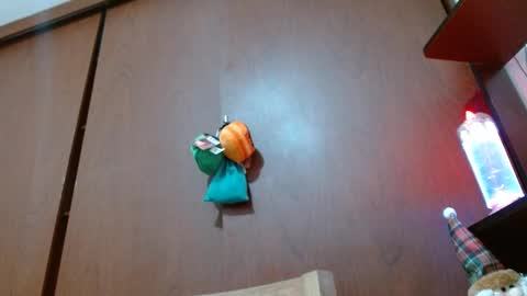 Enjoy the best muscle straws   online show from February 11, 4:24 pm