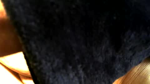 Buck online show from March 15, 3:40 pm