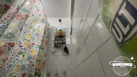 Snapshot of bukkakebae chatting on September 11, 8:20 pm bukkakebae online show from September 11, 8:20 pm