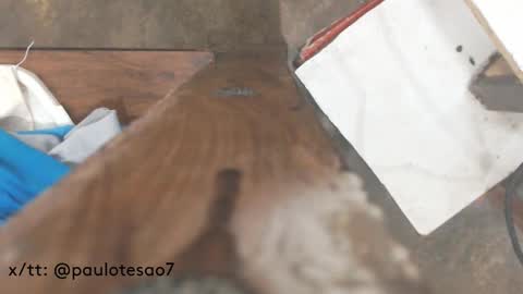 Snapshot of buldgeinboxer chatting on February 17, 7:21 pm buldgeinboxer online show from February 17, 7:21 pm