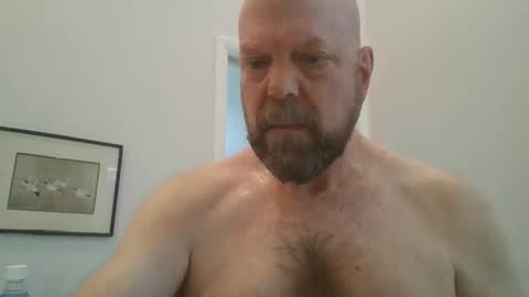 bulldog302w online show from February 20, 4:29 pm