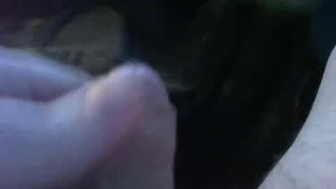 Snapshot of bullemoe chatting on September 30, 5:23 am bullemoe online show from September 30, 5:23 am