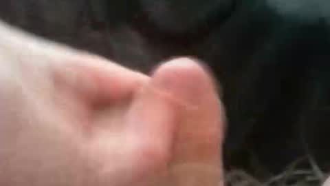 Snapshot of bullemoe chatting on October 2, 7:04 am bullemoe online show from October 2, 7:04 am