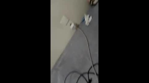 bullspain27266272 online show from January 29, 3:01 am