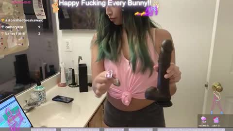 Tokki  bunny  online show from December 5, 11:07 pm