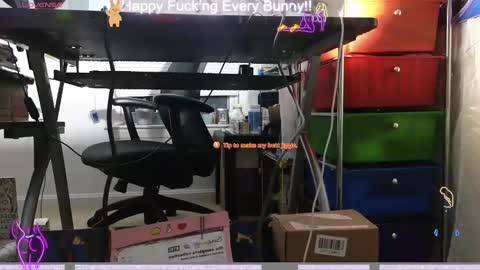 Tokki  bunny  online show from December 9, 3:50 am