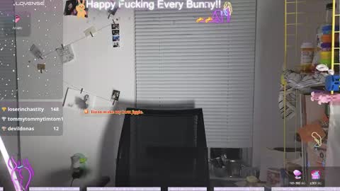 Tokki  bunny  online show from December 9, 10:30 pm