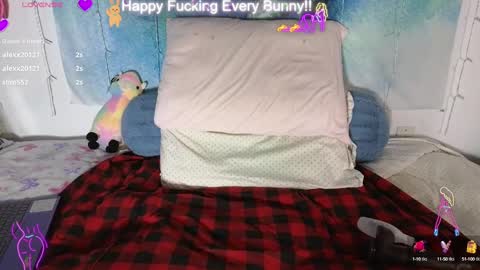 Tokki  bunny  online show from January 28, 2:00 am