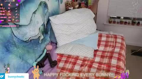 Tokki  bunny  online show from November 21, 7:40 am