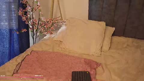 Snapshot of bunnycute_shy chatting on October 4, 2:37 pm 30 Off online show from October 4, 2:37 pm